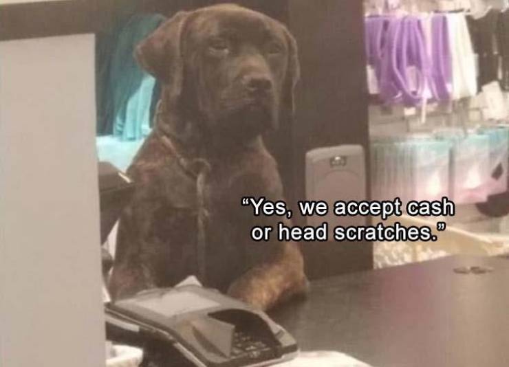 Daily Pictures. Part 2 (64 pics)