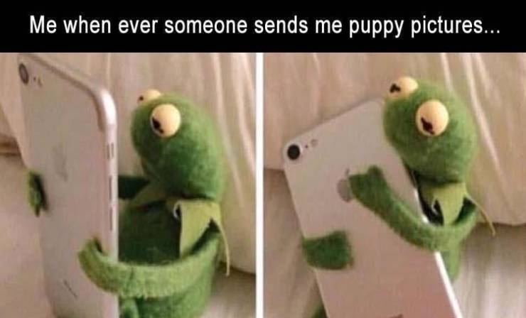 Daily Pictures. Part 2 (64 pics)