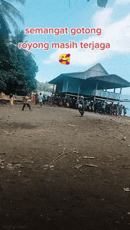 Acid GIFs, December 2 (25 gifs) Acid GIFs, December 2 (25 gifs)