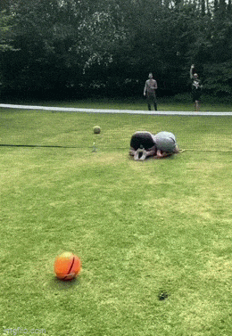 Acid GIFs, December 2 (25 gifs) Acid GIFs, December 2 (25 gifs)