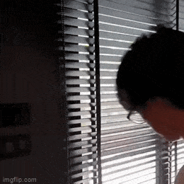 Acid GIFs, December 2 (25 gifs) Acid GIFs, December 2 (25 gifs)