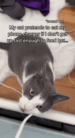 Acid GIFs, December 2 (25 gifs) Acid GIFs, December 2 (25 gifs)