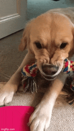 Acid GIFs, December 2 (25 gifs) Acid GIFs, December 2 (25 gifs)