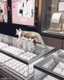 Acid GIFs, December 2 (25 gifs) Acid GIFs, December 2 (25 gifs)