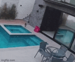 Acid GIFs, December 2 (25 gifs) Acid GIFs, December 2 (25 gifs)