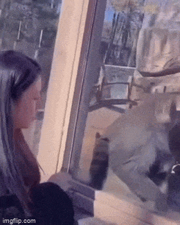 Acid GIFs, December 2 (25 gifs) Acid GIFs, December 2 (25 gifs)