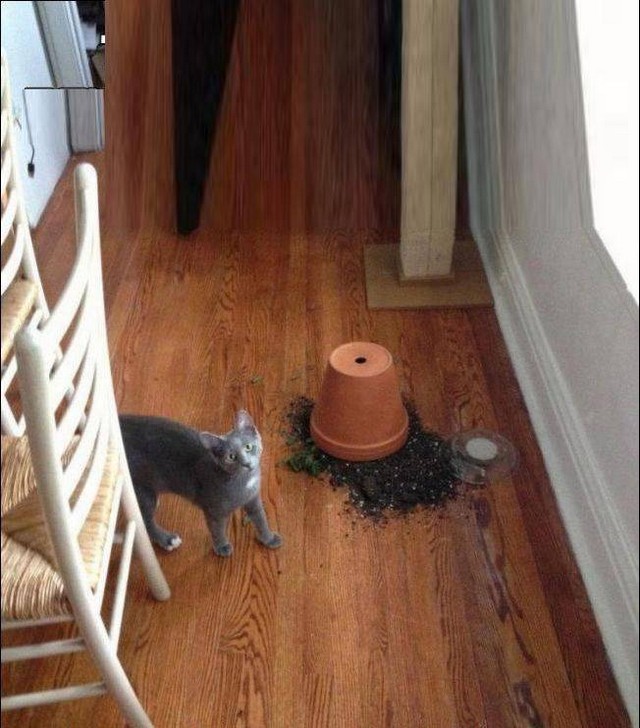 Unfortunate Situations (25 pics)