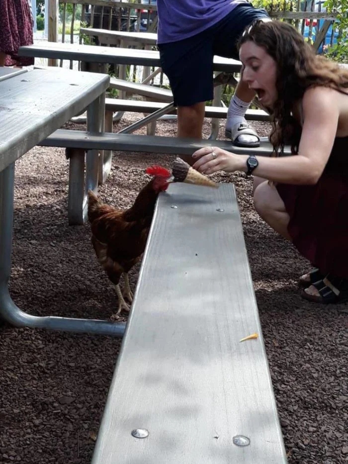 Right Moment (17 pics)