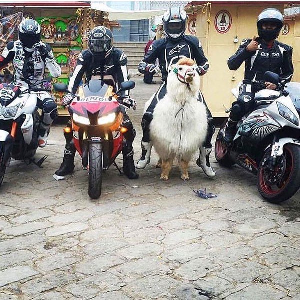 Daily Pictures. Part 1 (67 pics)