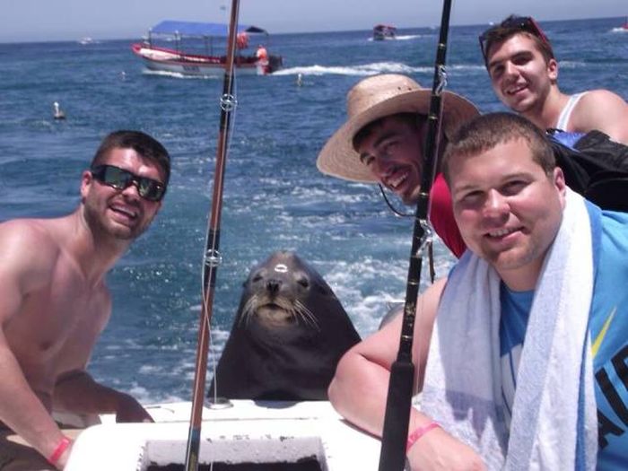 Daily Pictures. Part 1 (67 pics)