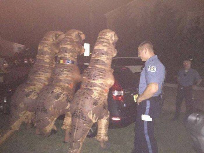 Daily Pictures. Part 1 (67 pics)