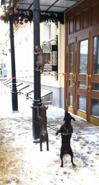 Daily Pictures. Part 1 (67 pics)