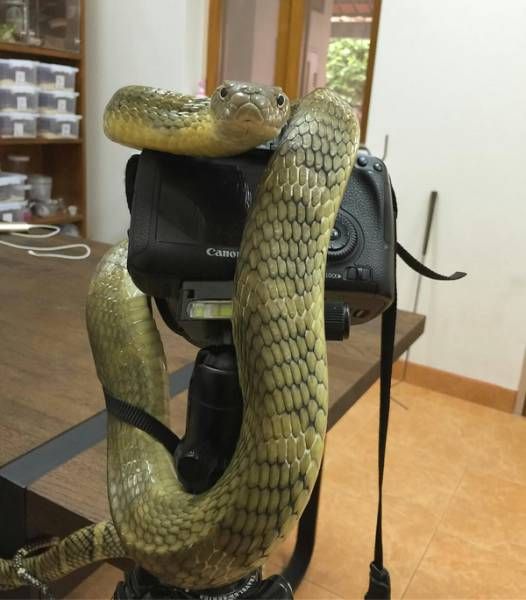 Daily Pictures. Part 1 (67 pics)