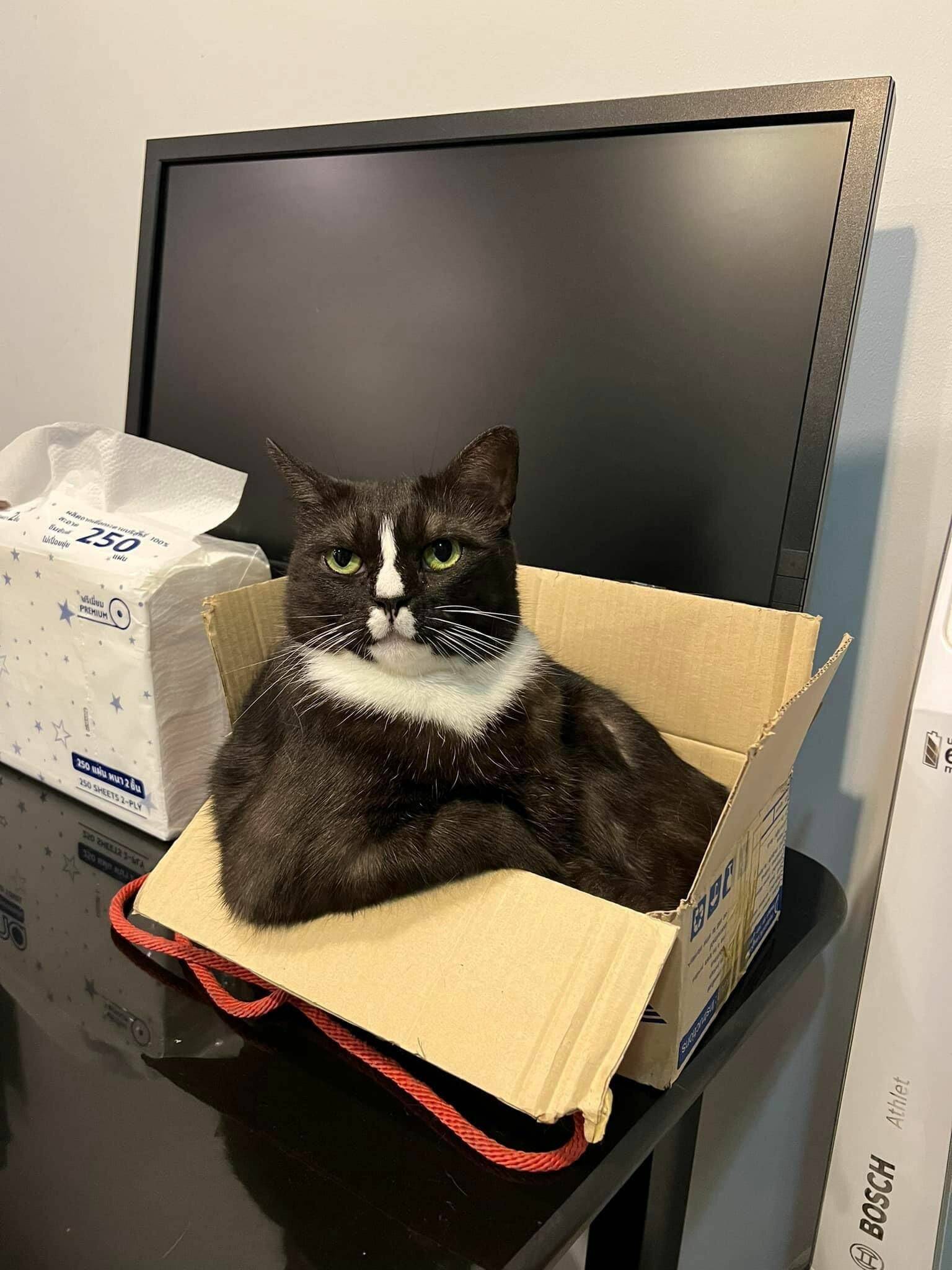 Daily Pictures. Part 1 (67 pics)