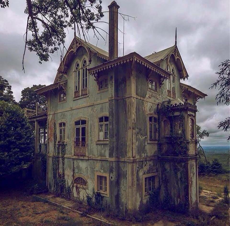 Daily Pictures. Part 1 (67 pics)