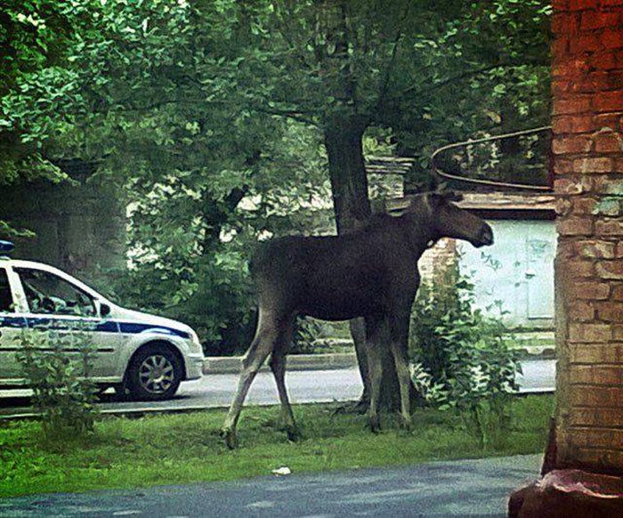 Daily Pictures. Part 1 (67 pics)