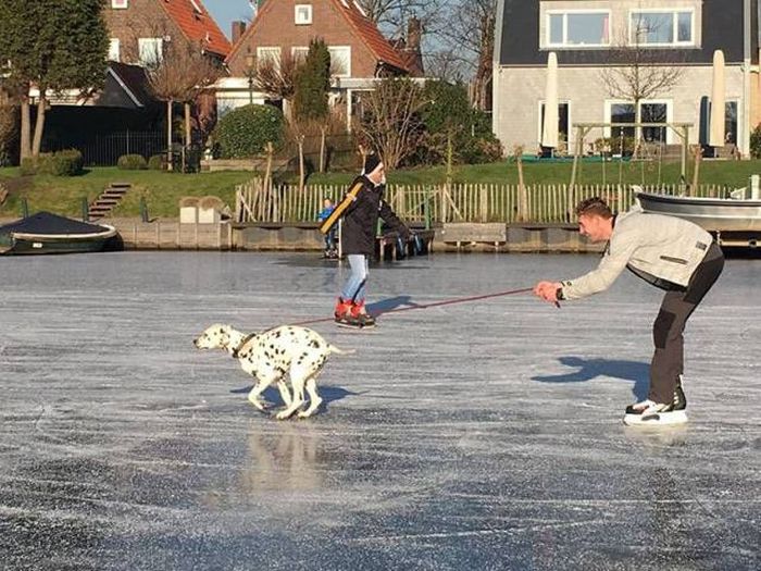 Daily Pictures. Part 1 (67 pics)