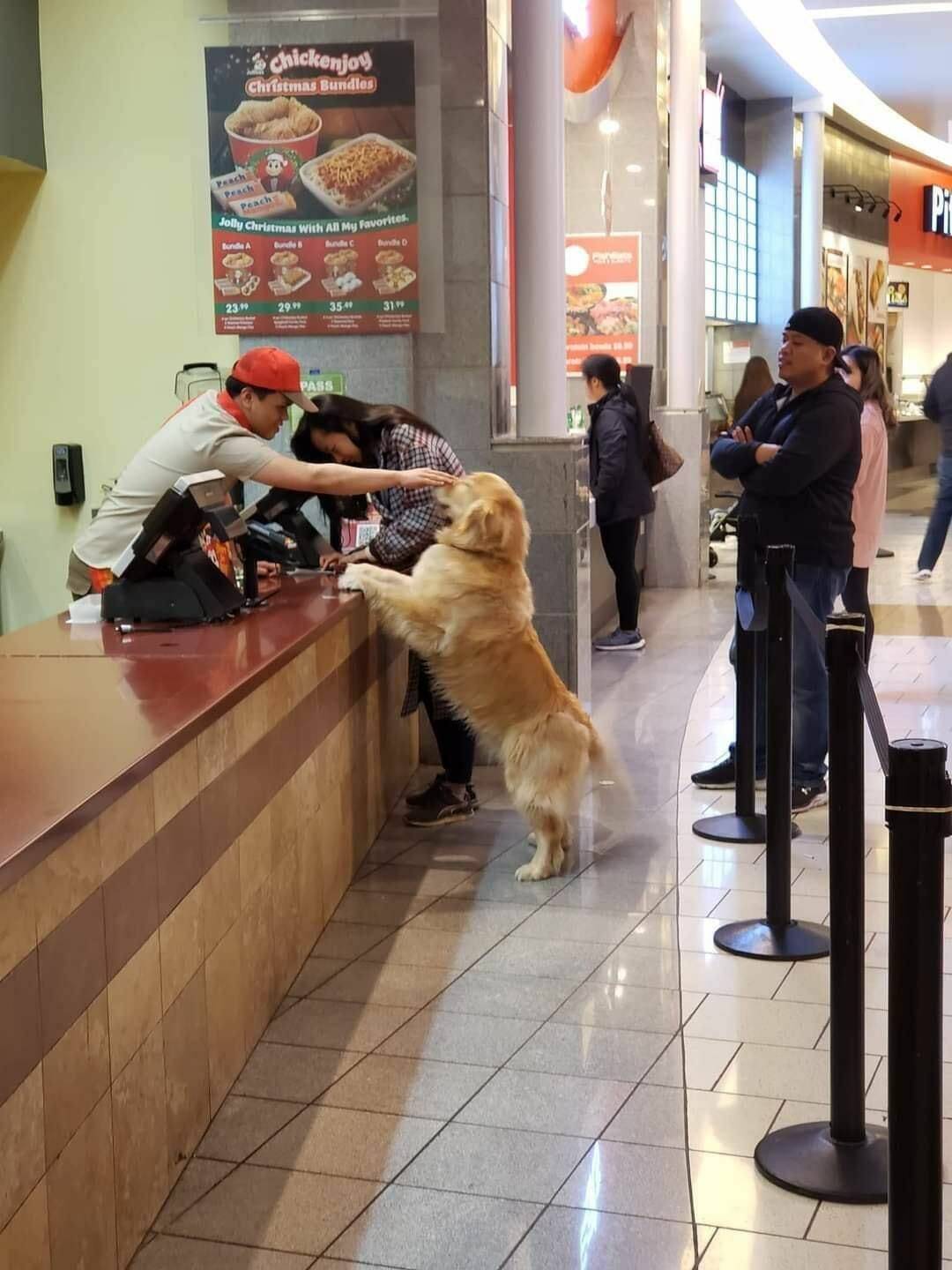 Daily Pictures. Part 1 (67 pics)