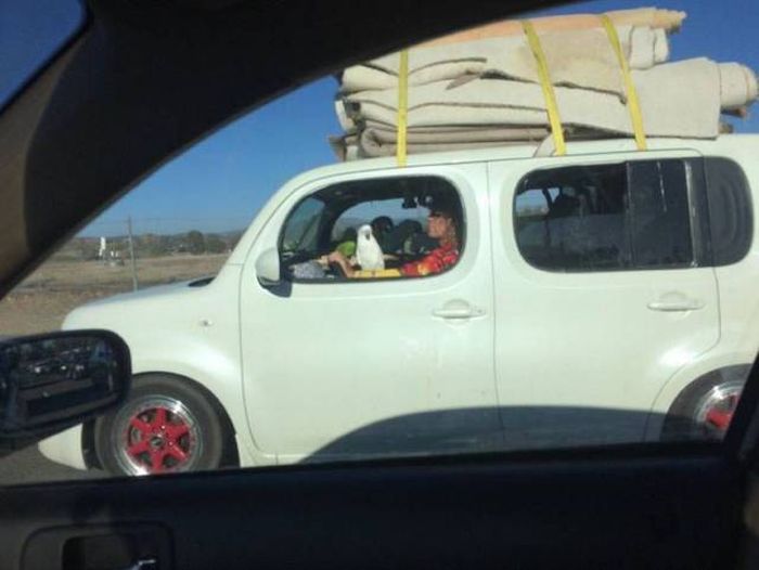 Daily Pictures. Part 1 (67 pics)