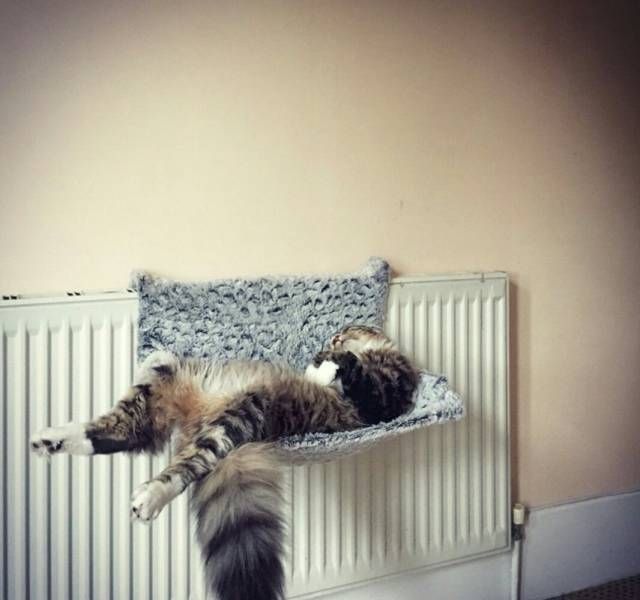 Daily Pictures. Part 1 (67 pics)