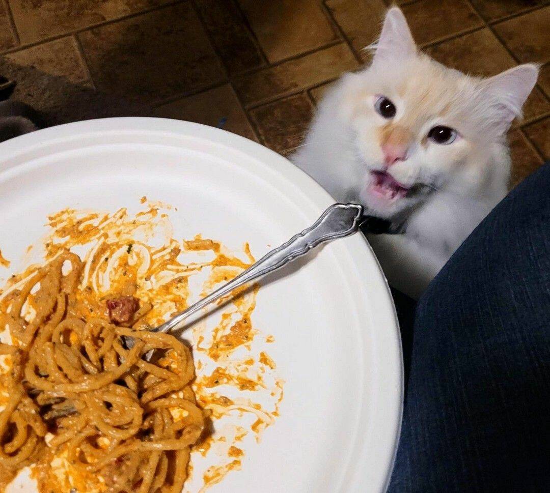 Daily Pictures. Part 1 (67 pics)