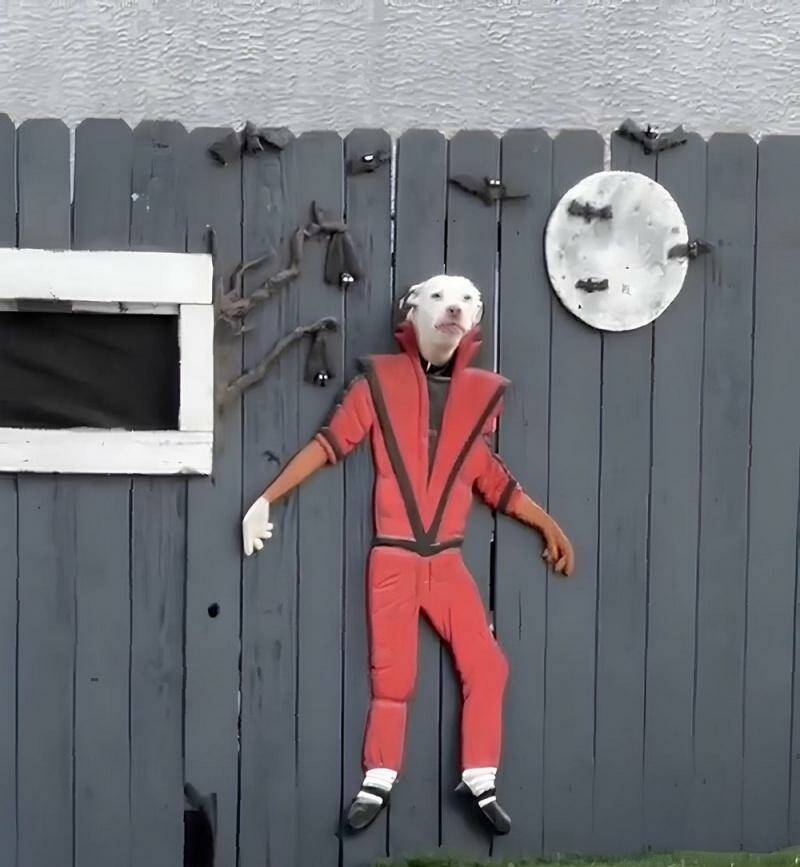 Daily Pictures. Part 2 (66 pics) Daily Pictures. Part 2 (66 pics)