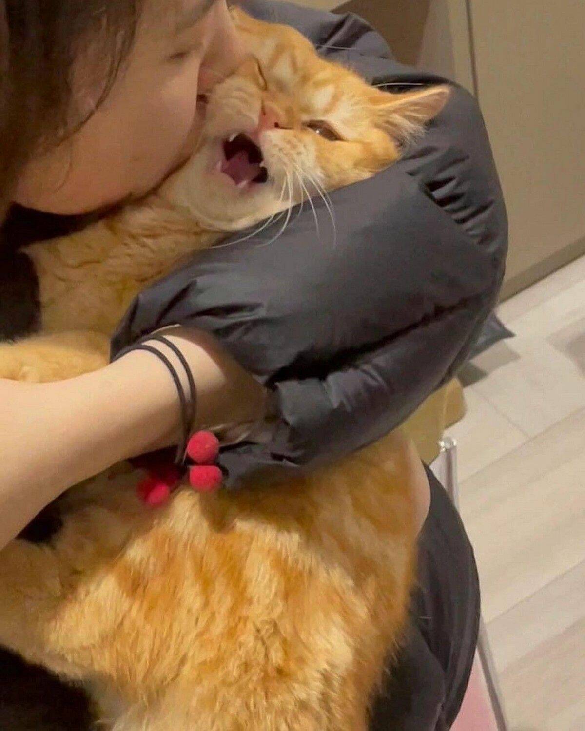 Daily Pictures. Part 1 (67 pics)