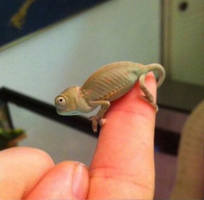 Daily Pictures. Part 1 (67 pics)