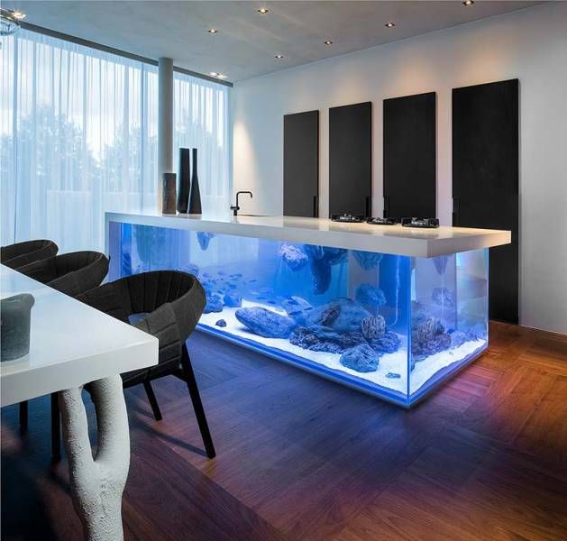 Daily Pictures. Part 2 (66 pics) Daily Pictures. Part 2 (66 pics)