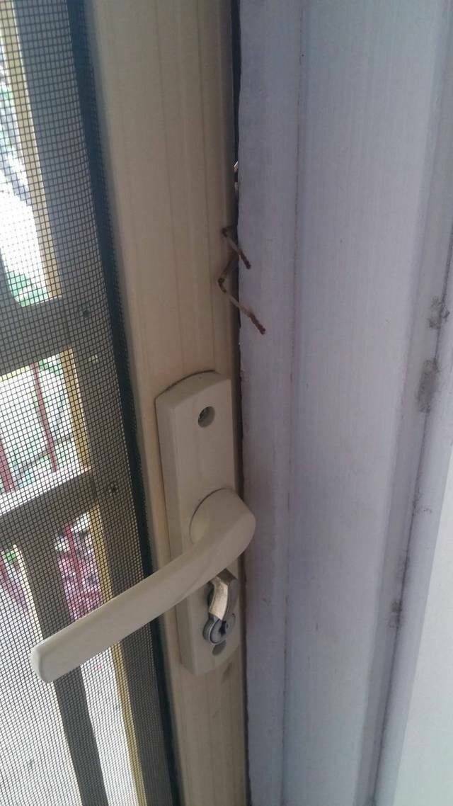 Daily Pictures. Part 1 (67 pics)