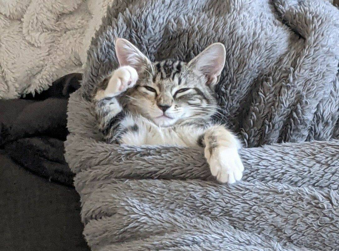 Daily Pictures. Part 1 (67 pics)