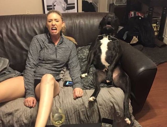 Daily Pictures. Part 2 (66 pics) Daily Pictures. Part 2 (66 pics)