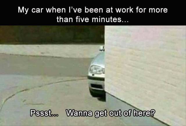 Daily Pictures. Part 2 (66 pics) Daily Pictures. Part 2 (66 pics)