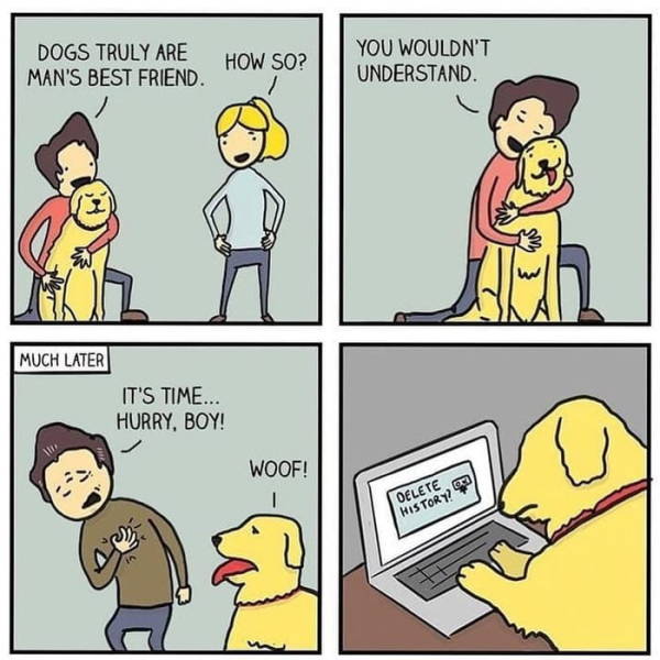 Daily Pictures. Part 2 (66 pics) Daily Pictures. Part 2 (66 pics)