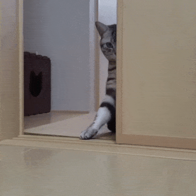 Acid GIFs, December 3 (25 gifs) Acid GIFs, December 3 (25 gifs)