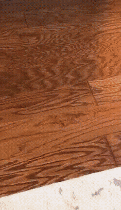 Acid GIFs, December 3 (25 gifs) Acid GIFs, December 3 (25 gifs)