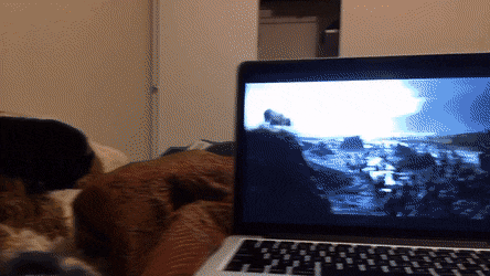 Acid GIFs, December 3 (25 gifs) Acid GIFs, December 3 (25 gifs)