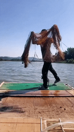 Acid GIFs, December 3 (25 gifs) Acid GIFs, December 3 (25 gifs)