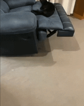 Acid GIFs, December 3 (25 gifs) Acid GIFs, December 3 (25 gifs)