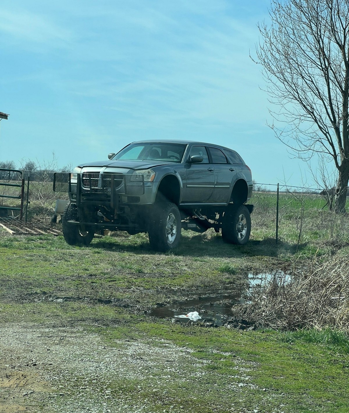 Crazy Cars (25 pics) Crazy Cars (25 pics)