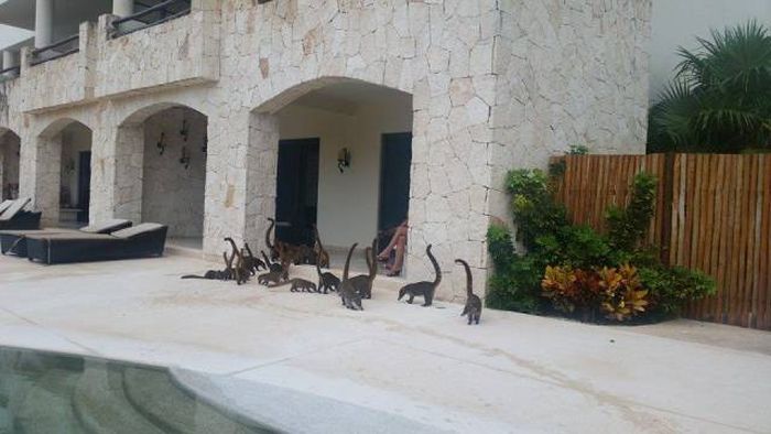 Daily Pictures. Part 1 (63 pics) Daily Pictures. Part 1 (63 pics)