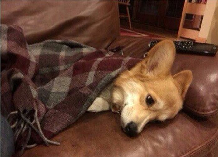 Daily Pictures. Part 1 (63 pics) Daily Pictures. Part 1 (63 pics)