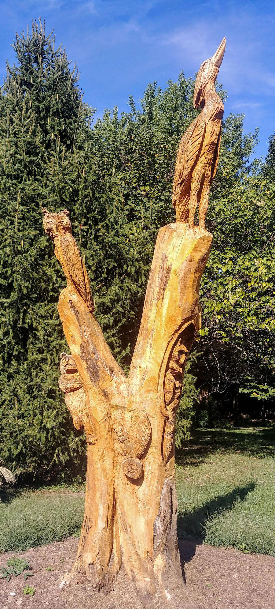 Daily Pictures. Part 1 (63 pics) Daily Pictures. Part 1 (63 pics)