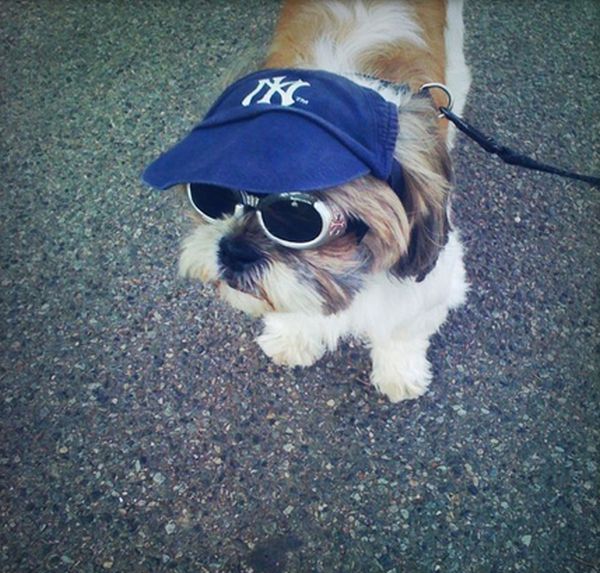 Daily Pictures. Part 1 (63 pics) Daily Pictures. Part 1 (63 pics)