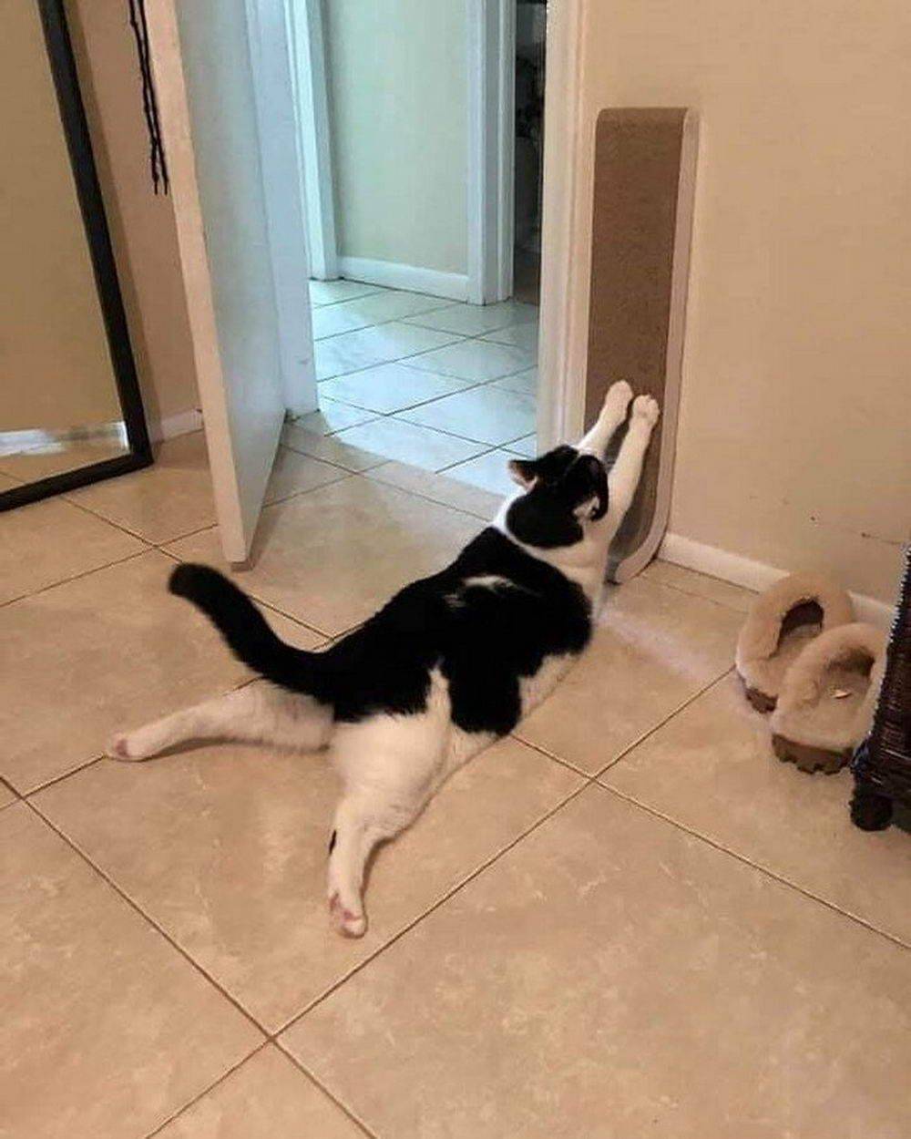 Daily Pictures. Part 1 (63 pics) Daily Pictures. Part 1 (63 pics)