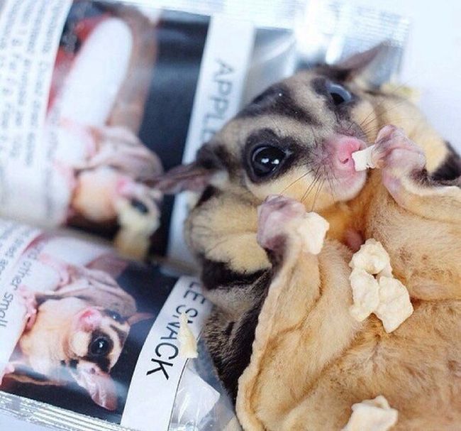 Daily Pictures. Part 2 (62 pics) Daily Pictures. Part 2 (62 pics)