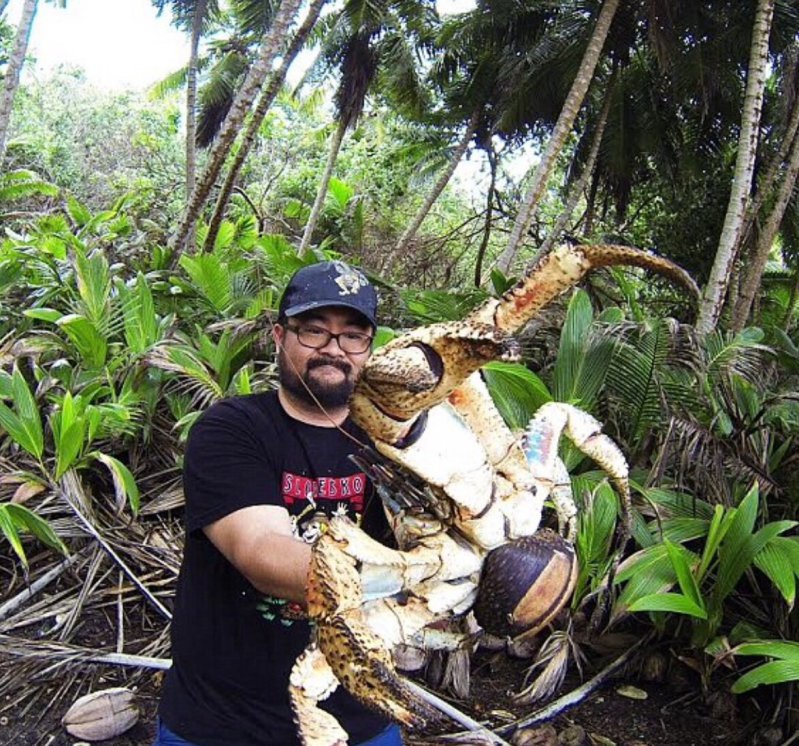 Daily Pictures. Part 2 (62 pics) Daily Pictures. Part 2 (62 pics)