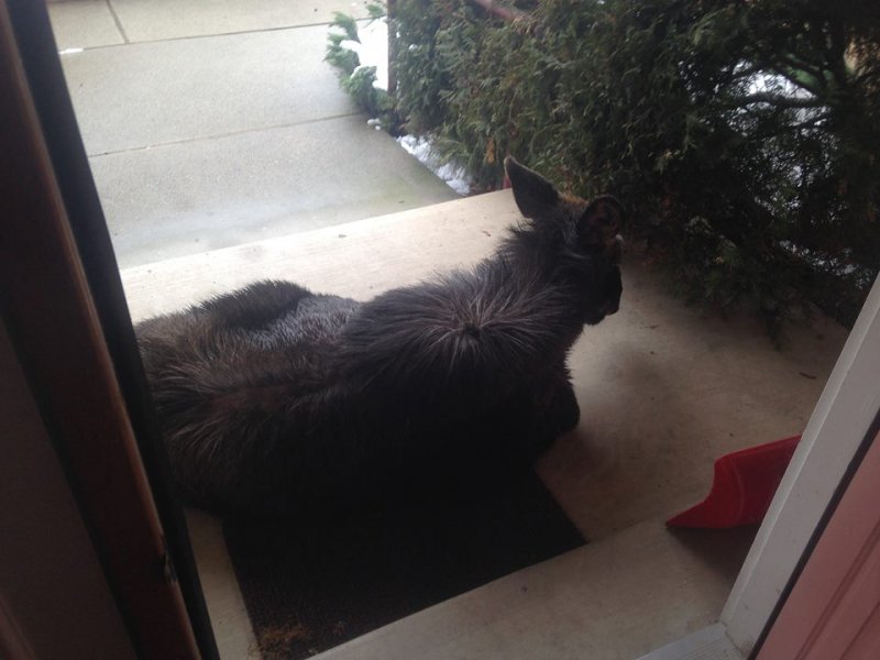 Daily Pictures. Part 2 (62 pics) Daily Pictures. Part 2 (62 pics)