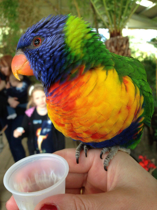 Daily Pictures. Part 1 (63 pics) Daily Pictures. Part 1 (63 pics)