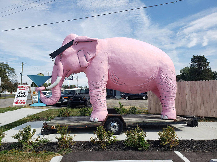 Daily Pictures. Part 1 (63 pics) Daily Pictures. Part 1 (63 pics)